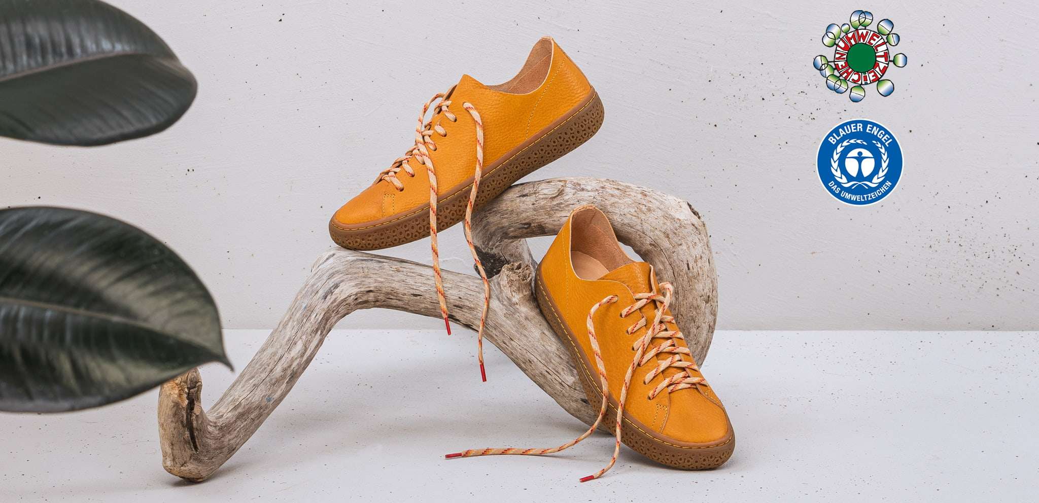 Comfortable sneakers that don't care if you think they're hideous - The  Columbian